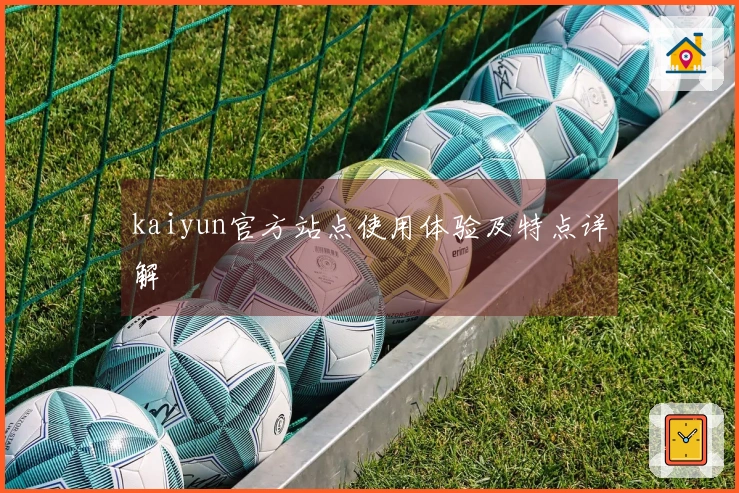 kaiyun官方站点使用体验及特点详解
