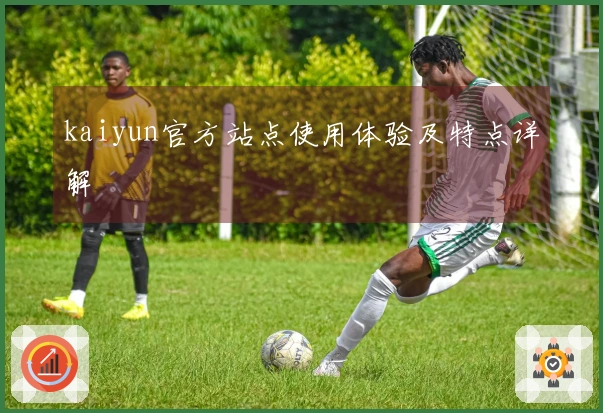 kaiyun官方站点使用体验及特点详解